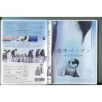  император пингвин только ../ б/у DVD прокат / рюкзак * jacket / косить правильный самец /z6608