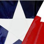 Texas Flag 5x8 - Made in USA. Premium Texas State Flag. Appliqued Star and