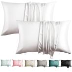 WLOSJ シルク100%枕カバー 髪と肌用 2パック クイーンサイズ 19匁 マルベリーシルク 枕カバー 両面ソフト 通気性 涼やか 隠しファスナー