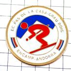  лыжи снежные горы and la. страна выгодная покупка значок * Франция ограничение булавка z* редкость . Vintage было использовано булавка bachi