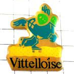  значок * ролик skate делать лампочка солнцезащитные очки очки * Франция ограничение булавка z* редкость . Vintage было использовано булавка bachi