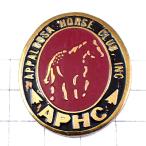  выгодная покупка значок * булавка z* лошадь Club APHC HORSE-CLUB* Франция ограничение булавка z* редкость . Vintage было использовано булавка bachi