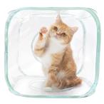  кошка . кошка Play Cube mofusand b) Cube 