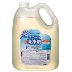【4倍濃縮のおしゃれ着洗い】アクアウォッシュ洗浄剤4.5kg