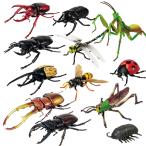 12体セット　超リアル　ビッグ　昆虫　4D パズル　フィギュア　甲虫　ヒラタクワガタ　カブトムシ　クワガタムシ　クワガタ　模型　子ども　おもちゃ