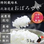 おぼろづき 米 特別栽培米 北海道産 5ｋｇ 白米 玄米 産地直送 大塚農場 石狩郡当別町