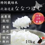 ななつぼし 米 10kg 北海道産 白米 玄米 産地直送 大塚農場 石狩郡当別町