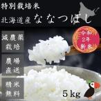 ななつぼし 米 5kg 北海道産 白米 玄米 産地直送 大塚農場 石狩郡当別町