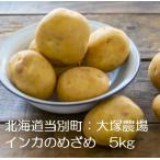 インカのめざめ じゃがいも 5kg 北海道産 産地直送 数量限定