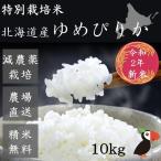 29年産 ゆめぴりか 米 10kg 北海道 大塚農場直送！白米でも玄米でもお届けします！