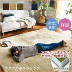 ラグ 洗える カーペット 2畳 おしゃれ ラグマット 暖かい 保温 蓄熱 断熱 こたつ敷 アルミシート入り ホットカーペットカバー 滑り止め 約185×185cm