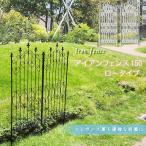  сад забор железный забор diy модный цветок . вне конструкция . Британия способ сверху товар ощущение роскоши люкс старый замок способ глаз .. железный забор low 150 2 листов комплект 