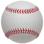 ミズノ MIZUNO  サイン用ボール 