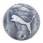  Puma PUMA FINAL графика мяч HS футбольный мяч 26SP (085213-02)
