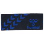 hummel(ヒュンメル) スポーツタオル サッカー ウェア ウェアアクセサリー HAA5021