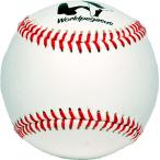  world Pegasus Worldpegasus бейсбол тренировка лампочка бейсбол перчатка аксессуары мяч 25AW(WBB43P)