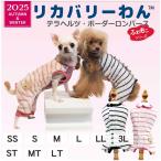 犬服クークチュール2025秋冬ボー...