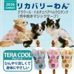 犬服クークチュール2026テラクー...