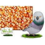 ショッピングとうもろこし メイズ（とうもろこし）　10kｇｘ1　袋入　脱酸素剤入り