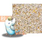 セキセイインコ秋用ブレンド　20kg　紙袋入