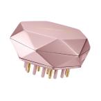 ショッピングルルド アテックス リフトケア 頭 首 EMS LED ルルド ルルドボーテ リフトブラシ ピンク AX-NBL506pk