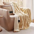 GOTCOZY 電気毛布 掛け敷き兼用 - 180×130cm フランネル電気ブランケット 6段階温度調整 10時間自動停止タイマー付 速暖 節電 丸