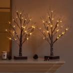Hairuiブランチツリー イルミネーション 高さ45cm 24LED 枝 ライト ツリー 北欧 おしゃれ LED ツリー インテリア 卓上 飾り ク