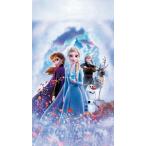 Yahoo! Yahoo!ショッピング(ヤフー ショッピング)アナと雪の女王2  Movie Collector's Poster 映画 ポスター