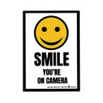 セキュリティ ステッカー 防犯 防犯カメラ アメリカン おしゃれ かっこいい 玄関 窓 ガラス アメリカン雑貨 UNITED SECURITY SERVICE SMILE