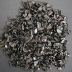 【種子】アガベ・グラシエラエ 20s Agave gracielae