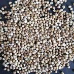 【種子】ユーフォルビア・ステラータ 飛竜 20s Euphorbia stellata