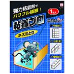粘着プロ ネズミとり 1枚入 爆買