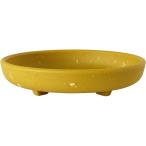  Hachiman .. eko plate круглый 3 номер горчица 