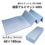 ショッピングプールマット フィールドステーション U-P968 極厚 15mmマット 600S