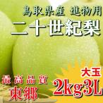 二十世紀梨 20世紀梨 鳥取県 東郷 赤秀 2kg 3L(6玉) 送料無料 大玉 贈答用 進物用 果物 お取り寄せ