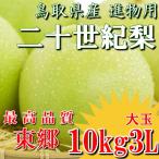 二十世紀梨 20世紀梨 鳥取県 東郷 赤秀 10kg 3L(24~28玉) 送料無料 大玉 贈答用 進物用 果物 お取り寄せ