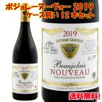 送料無料 ボジョレー ヌーボー 2019 アントワーヌ シャトレ ボージョレ ヌーヴォー 12本 セット まとめ買い ケース買い 11/21(木)解禁 750ml 赤ワイン