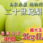 二十世紀梨 20世紀梨 鳥取県 東郷 赤秀 2kg 4L(5玉) 送料無料 超大玉 贈答用 進物用 果物 お取り寄せ