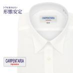 ワイシャツ メンズ 長袖 形態安定 形状記憶 標準型 CARPENTARIA レギュラーカラー DAPC15-06