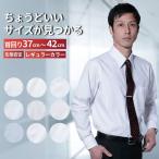  рубашка мужской длинный рукав форма устойчивость вид память стандарт type CARPENTARIA постоянный цвет P12S1PC04