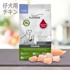 ドライフード 仔犬 チキン