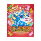 MR. BLUBBER Mr. b Raver Bear - Lamune 