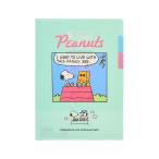 Snoopy PEANUTS прозрачный файл A5 3 карман PEANUTS SNOOPY&SIBLINGS