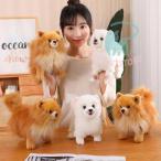 ぬいぐるみ ポメラニアン 犬 リアル そっくり 生々しい いぬ 抱き枕 イヌの置物 動物 ふわふわ 柔らかい 癒し系 部屋 インテリア 誕生日 贈り物