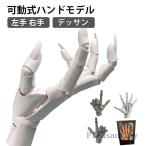 ハンドモデル 1/1 左手 右手 R L 可動式 フィギュア バイオニック指関節 アニメ デッサン用素体美術 フィギュア ホワイト グレー 肌色 スキ