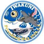  patch скала страна авиация основа земля friendship te-2026 ограничение нашивка PA-IWAKUNI2026-TZ вышивка двусторонний липучка имеется море собственный собственный .. товары нашивка 
