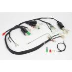 SP Takegawa (SPtake сторона ) super главный жгут комплект Monkey (12V)FI машина за исключением 05-00-0002