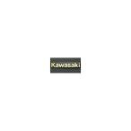 PMC (pi- M si-) хвостовой обтекатель эмблема Kawasaki Z1000R 81-1243