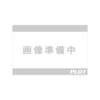 Daytona ( Daytona ) наконечники руля ремонт HW внешний M8 красный 26160