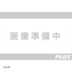 Daytona ( Daytona ) Stronger chain lock 3.0M 31239